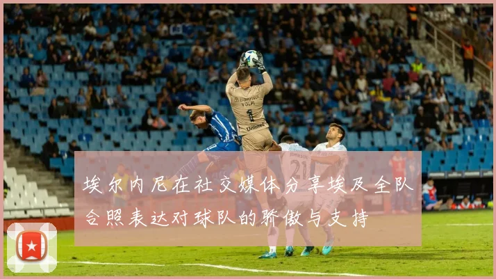 埃尔内尼在社交媒体分享埃及全队合照表达对球队的骄傲与支持