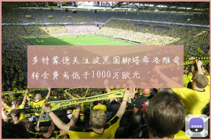 多特蒙德关注波黑国脚塔希洛维奇转会费或低于1000万欧元