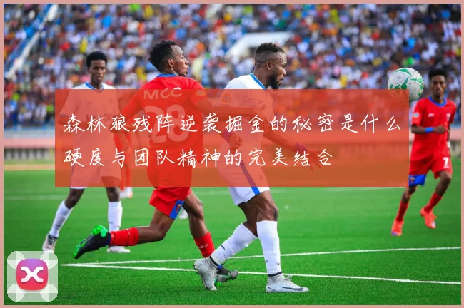 森林狼残阵逆袭掘金的秘密是什么硬度与团队精神的完美结合