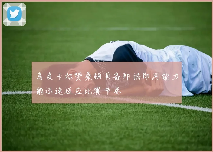 乌度卡称赞桑顿具备即插即用能力能迅速适应比赛节奏